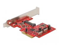 DeLOCK 90058 Schnittstellenkarte/Adapter USB 3.2 Gen 2 (3.1 Gen 2)