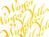 Tinte Winsor Newton Calligraphy Ink 30ml winsor yellow
