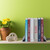 Relaxdays Buchstütze, 2er-Set, Bücher, DVDs, Zeitschriften, Buchwinkel HxBxT: ca. 16,5 x 13 x 10,5 cm, versch. Farben