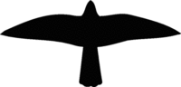 Vogel-Aufkleber - Schwarz, 20 cm, Kunststofffolie, Selbstklebend, Motiv 3