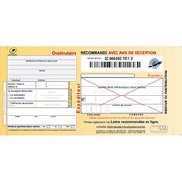 TECHMAY LOGETIQ Boîte de 100 liasses recommandées guichet avec AR SGR2