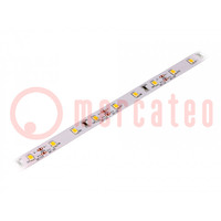 LED strips; warm wit; 2835; 12V; LED/m: 60; 10mm; 120°; 14,4W/m