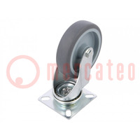 Transport wheel; Ø: 100mm; W: 27mm; H: 134mm; torsional; 90kg; TPA