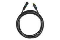 Crestron CBL-4K-USBC-HD-12 cable interface/gender adapter