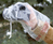 OP/TECH USA Rainsleeve regenhoes voor camera DSLR-camera Polyethyleen