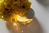 Konstsmide 1461-860 decoratieve verlichting Lichtdecoratie ketting 40 gloeilamp(en) LED 0,8 W