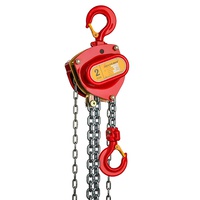 Delta DR.0.04102006 Premium handkettingtakel - 2 ton - 6 meter