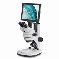 Set Stereomicroscopio-Set digitale