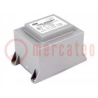 Trasformatore: incapsulato; 55VA; 230VAC; 12V; 12V; 2,29A; 2,29A