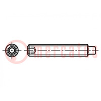 Screw; M5x20; 0.8; Head: without head; hex key; HEX 2,5mm; steel