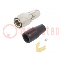 Connector: circular; HR10; push-pull; plug; 2A; silver plated; male
