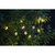 Star Trading 481-06 Beleuchtungsdekoration Leichte Dekorationskette 10 Glühbirne(n) LED