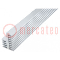 Heatsink: extruded; grilled; natural; L: 1000mm; W: 38mm; H: 54mm