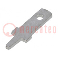 Connettore: piatto; 2,8mm; 0,8mm; maschio; THT; Lung.tot: 12,5mm