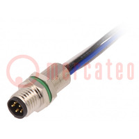 Connector: M8; male; PIN: 5; for panel mounting,rear side nut
