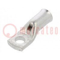 Terminal: anillo tubular; M6; 25mm2; crimpados; para conducto