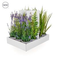 Artifical Mixed Potted Plants - 42cm, Sold in 12's