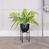 Artificial Ready Planted Fern on Stand - 83cm, Green