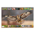 HERMA Sous-main 550 x 350 mm Oiseux domestiques