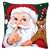 Cross Stitch Kit: Cushion: Santa