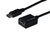 DisplayPort adapter cable. DP - HD15 M/F. 0.15m.w/interlock. DP 1.2 compatible.