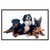 3 Hunde, Hundeschild, 30 x 20 cm, aus Alu-Verbund, mit UV-Schutz