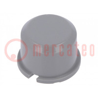 Button; round; grey; Ø9.6mm; plastic; MEC1625006,MEC3FTH9