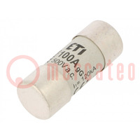 Fuse: fuse; gG; 100A; 500VAC; cylindrical,industrial; 22x58mm