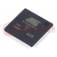 IC: mikrokontroller ARM; LQFP100; 1,8÷3,3VDC; Kül.megsz: 79