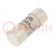 Fuse: fuse; gG; 100A; 500VAC; cylindrical,industrial; 22x58mm