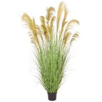 Artificial Reed Grass - 182cm, Brown & Green