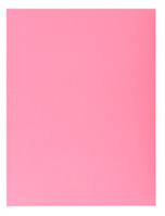 Exacompta Jura 250 A4 Pink