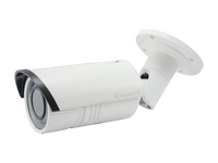 LevelOne FCS-5059 bewakingscamera Rond IP-beveiligingscamera Binnen & buiten 1920 x 1080 Pixels Plafond/muur