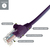 connektgear 15m RJ45 CAT5e UTP Stranded Flush Moulded Network Cable - 24AWG - Purple