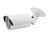 LevelOne FCS-5059 biztonsági kamera Golyó IP biztonsági kamera Beltéri és kültéri 1920 x 1080 pixelek Plafon/fal