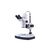 Estereomicroscopio digital DM-143-FBGG-C, cable EU