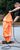 Addtional image
