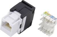 RJ45 csatlakozó aljzat, szerszám mentes, egyenes, Cat6, szürke, TRU COMPONENTS 93013c1177 1425901