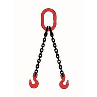 Kuplex grade 8 and 10 chain slings, 2m reach - with sling hooks, double leg
