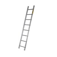 Single section aluminium ladder