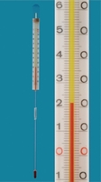 0 ... 100°C Termometri con scala interna