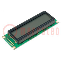 Display: LCD; alphanumerisch; FSTN Positive; 16x2; grün; LED