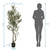 Kunstpflanze / Kunstbaum OLIVE I 172 cm grün hjh OFFICE
