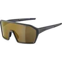 Alpina Sports RAM HM+ Radsportbrille Vollrand Kaffee