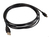 Maclean MCTV-749 cable USB USB 2.0 3 m USB A Mini-USB A Negro