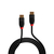 Lindy 41169 cable DisplayPort 10 m Negro