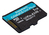 Kingston Technology Carte microSDXC Canvas Go Plus 170R A2 U3 V30 de 1 To sans ADP