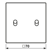 JUNG ES 12-5 R 1 AFDEK.LS1912 EDELST.2X HEVEL C