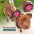 BLUZELLE Pettorina Cane per Cani di Taglia Grande, Imbracatura con Maniglia & Tasca per Localizzatore GPS, Gilet per Cani Cinghie Riflettenti e Regolabile, Anti-Trazione, - L Pink