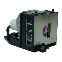 EIKI EIP-1000T Módulo de lámpara del proyector (bombilla compatibl